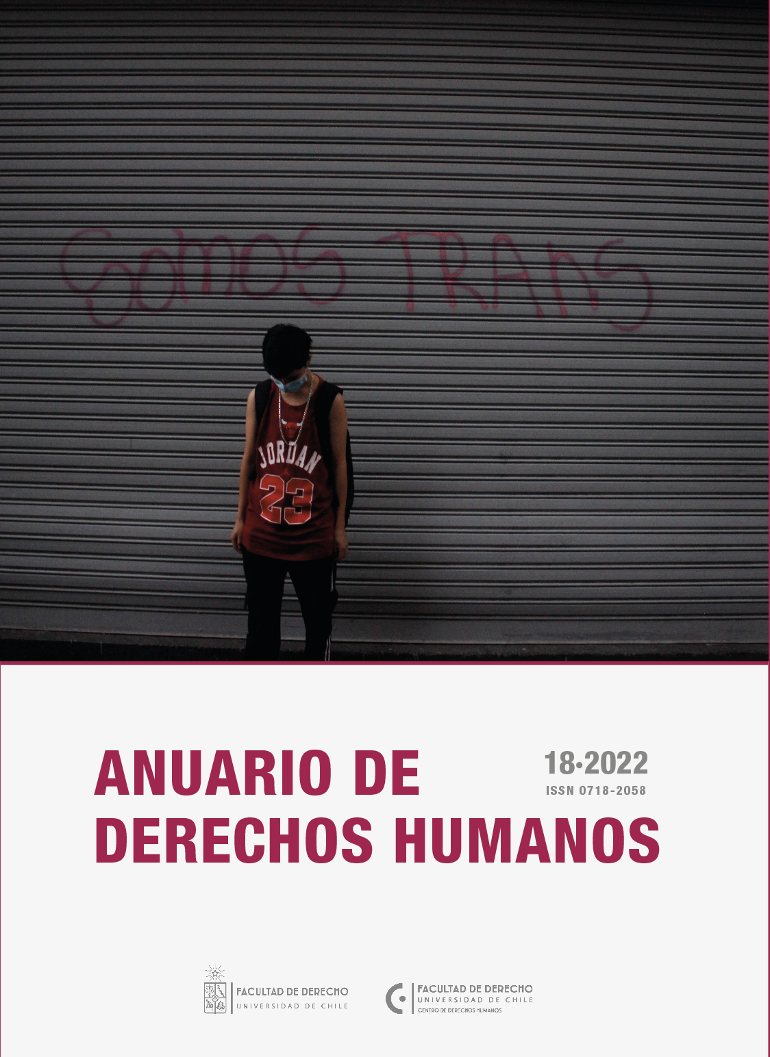 												Ver Vol. 18 Núm. 2 (2022): Anuario de Derechos Humanos
											